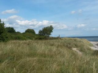 4 star holiday home in Idestrup-By Traum - 3