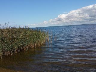 6 person holiday home in Ulfborg - 2