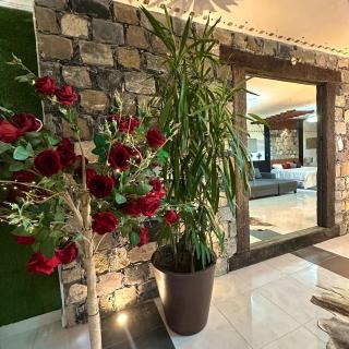 Casa Catorce Loft - 6