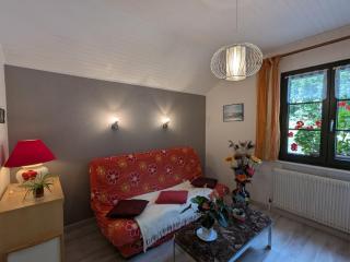 Gîte fonctionnel avec terrasse et vue, Gérardmer - FR-1-589-402 - 2