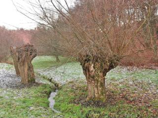 Ferienwohnung in Freital, Dresden - 1