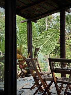 Cọ Retreat Da Bac - Hòa Bình - 1