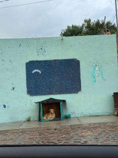 La Vecindad - 1
