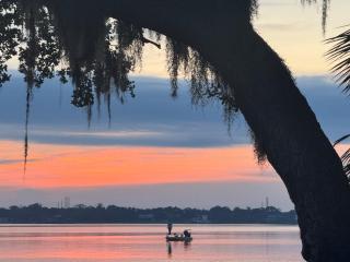 Spacious Clearwater Vacation House with Cowboy Pool Pet Friendly Fire Pit Life size Games Close to Clearwater Beach Biking Trail Farmers Markets S Harbor Health Spa Baycare Ballpark and Ruth Eckerd Hall Golf Courses - 1