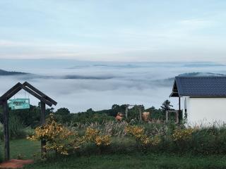 บ้าน มองดูหมอก - 1