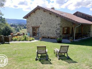 Gîte confortable avec sauna, cheminée, jardin, proche station de ski - FR-1-496-39 - 0