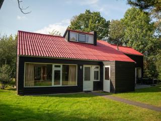 Wooded Park Retreat in Drenthe - 9