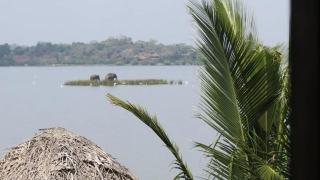 Rise & Set Arugam bay - 8