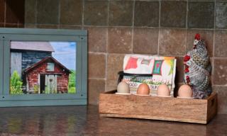 The LiKenSco Farm & Beach House - 4