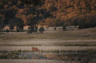 Luxury Barn - The Charles at Broke Hunter Valley - 9