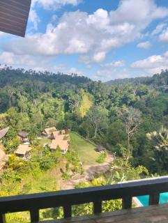 Secret forest waterfall retreat - 3