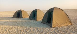 Sedudu Tours & Safaris - Nata - 0