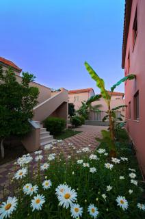 Hotel Sias Resort - Agios Avgoustinos - 1