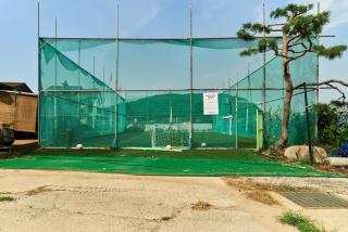 Daebudo Nonddureong - 3