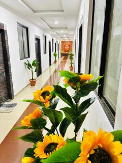 hotel philips - 8
