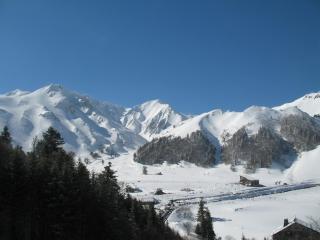 Les Camélias - Le Mont-Dore - 2