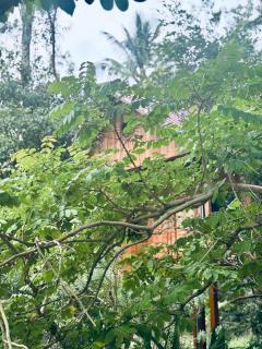 FAMILY RESORT MARAYOoR KANTHALLOOR - 8