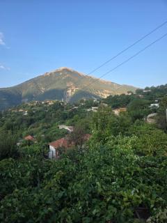 Emily Cottage house in Gjirokaster - 1