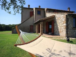 Villa in Orte with Private Pool - 5
