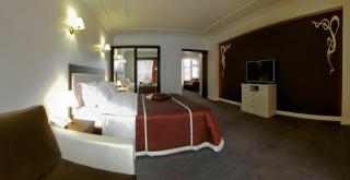 Villa Rossa Hotel - Chişinău - 7