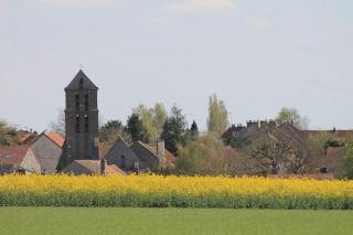 Le Nid Vert, Mobil-homes Paris Nature - 2