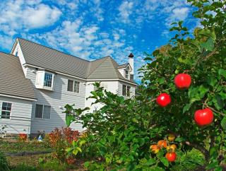 Asahikawa - house / Vacation STAY 5789 - 4