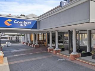 Comfort Inn Commodore Albury - 6