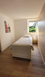 Gîte du grand sapin bleu - 1