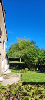 Gîte du grand sapin bleu - 1