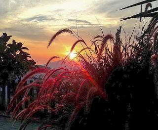 Dreamcatcher Villa - 1