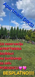 Apartmani Diksi 2 CENTAR - 8