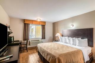 Quality Inn & Suites near Downtown Bakersfield - 4