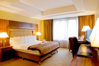 Annebrook House Hotel - Mullingar - 1