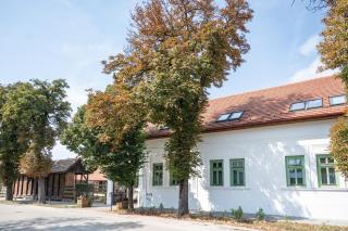 Boutique Hotel LuDo - 6