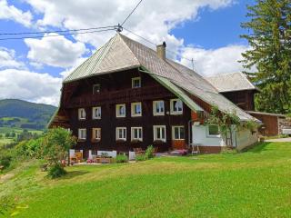 Echtes Schwarzwaldhaus - Traditionell & Modern - 0