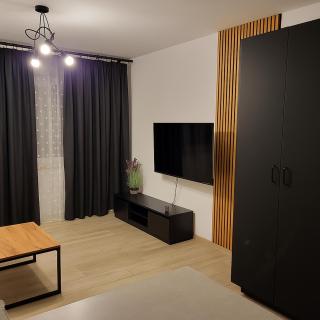 Exclusive Apartment - blisko Dworca, darmowy parking, późne wymeldowanie, rowerownia - 8