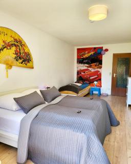 Garden-Apartment in Schonach center - 2