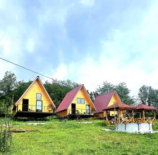 Aromaforest martvili - 7