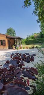 La Casa del Bosco - 7