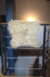 La Tanière du loup - Le Mans - 7