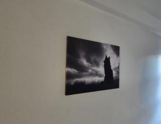 La Tanière du loup - Le Mans - 2