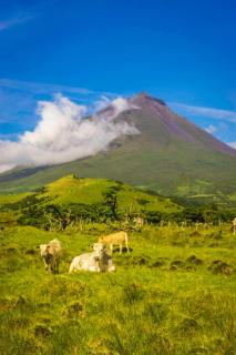 Casa da Baía da Manhenha - 5