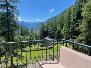 Relax & Natura immerso nel bosco in Valmalenco - 8