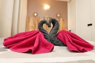 Appartement Spa et Sauna privatif - Terrasse - Proche Cité médiévale - 2