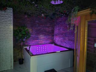 Appartement Spa et Sauna privatif - Terrasse - Proche Cité médiévale - 0