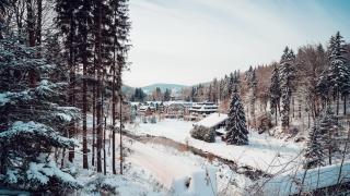 Savoy Loft Apartment - 6