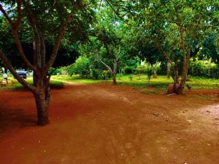 Glass House Yelagiri - 6