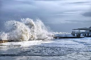 Fiori del Conero - 9