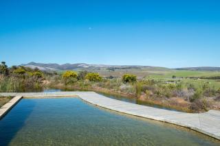 Phillipskop Mountain Reserve - 7