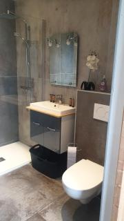 Apartement dans chalet a Jarrier - 6